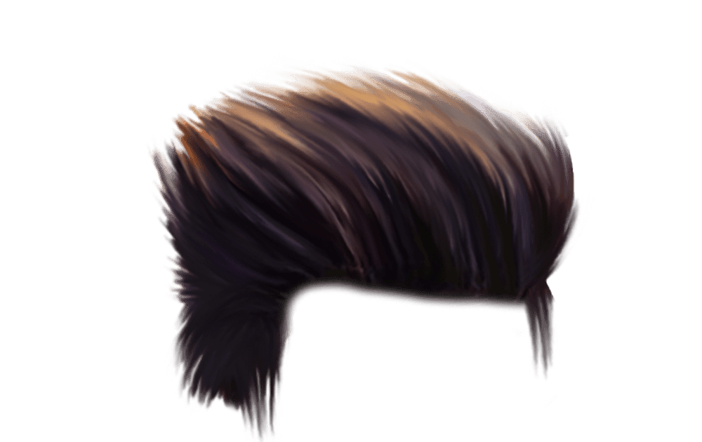 Download Gambar Rambut Png Nomer 24