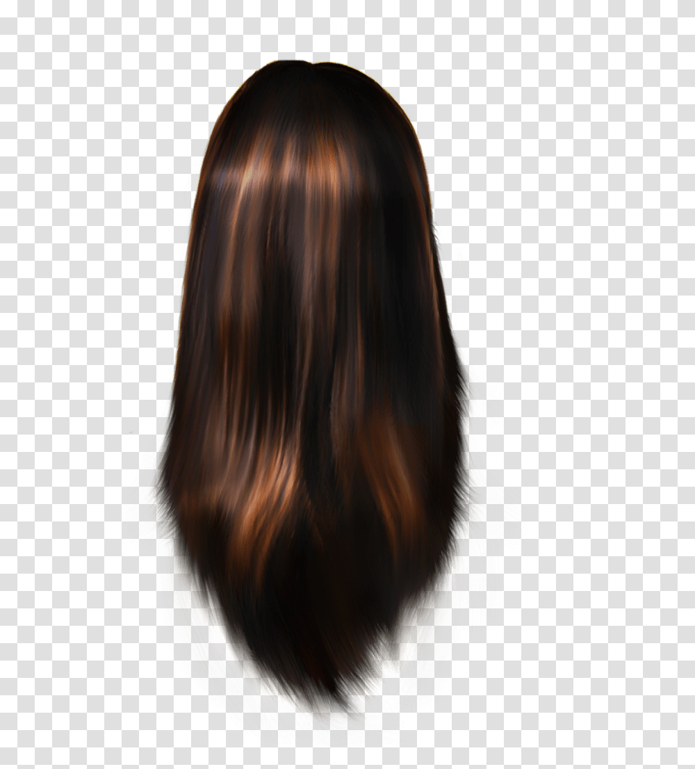 Detail Gambar Rambut Png Nomer 7