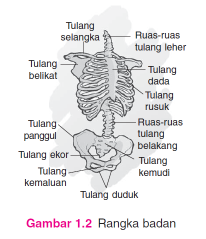 Detail Gambar Rangka Badan Nomer 14