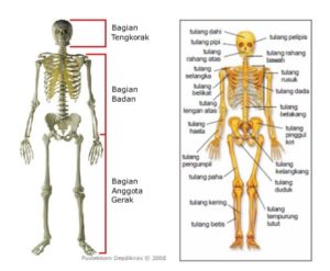 Detail Gambar Rangka Badan Nomer 30