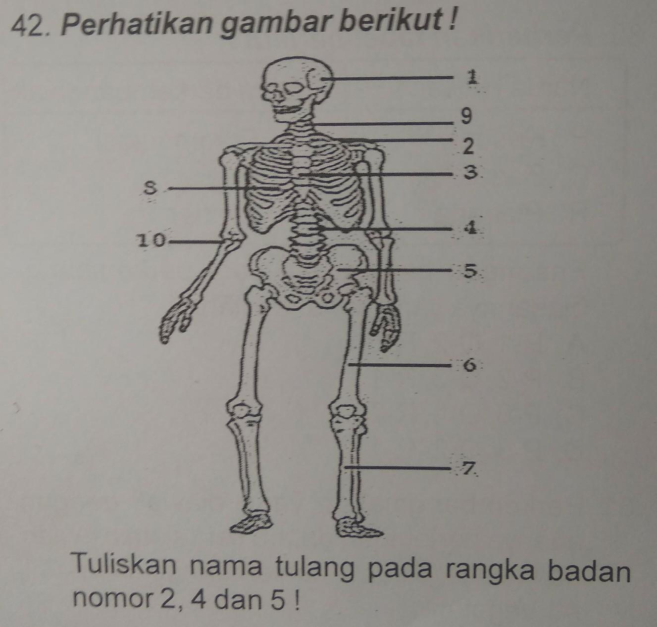 Detail Gambar Rangka Badan Nomer 31