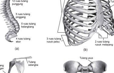 Detail Gambar Rangka Badan Nomer 32