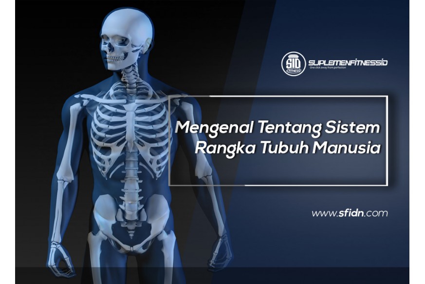 Detail Gambar Rangka Badan Nomer 42