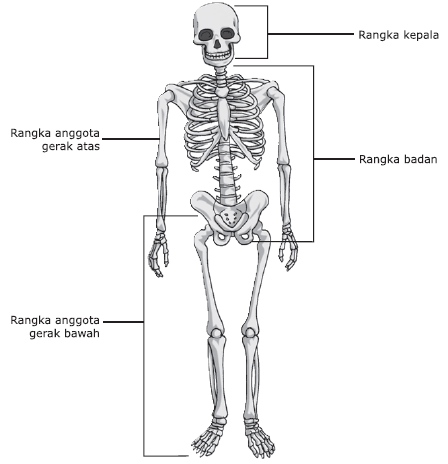 Detail Gambar Rangka Badan Nomer 43