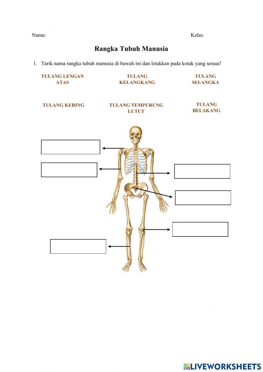 Detail Gambar Rangka Badan Nomer 44