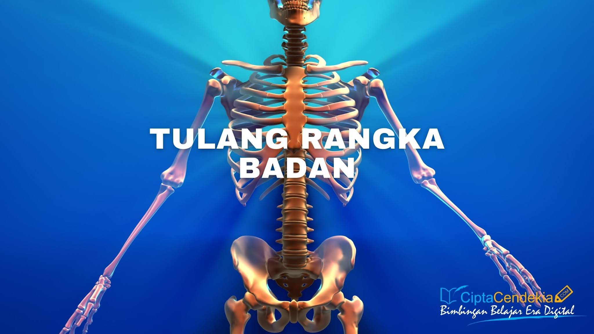 Detail Gambar Rangka Badan Nomer 48