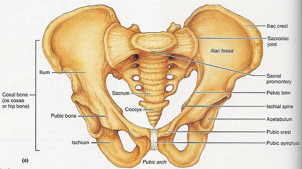 Detail Gambar Rangka Badan Tanpa Keterangan Nomer 45