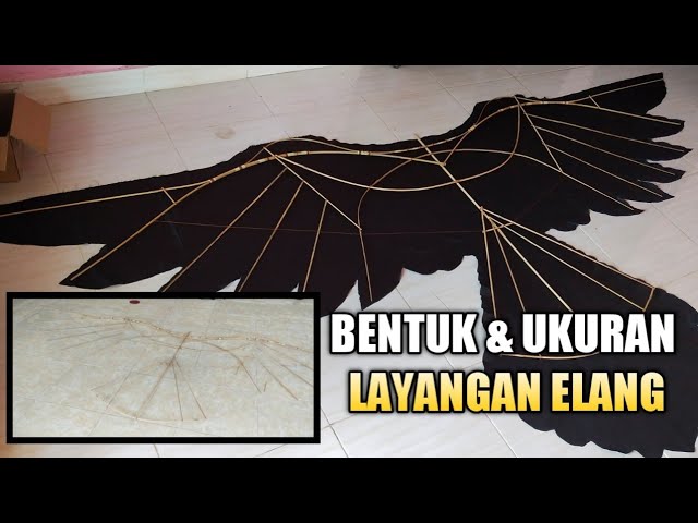 Detail Gambar Rangka Burung Nomer 20