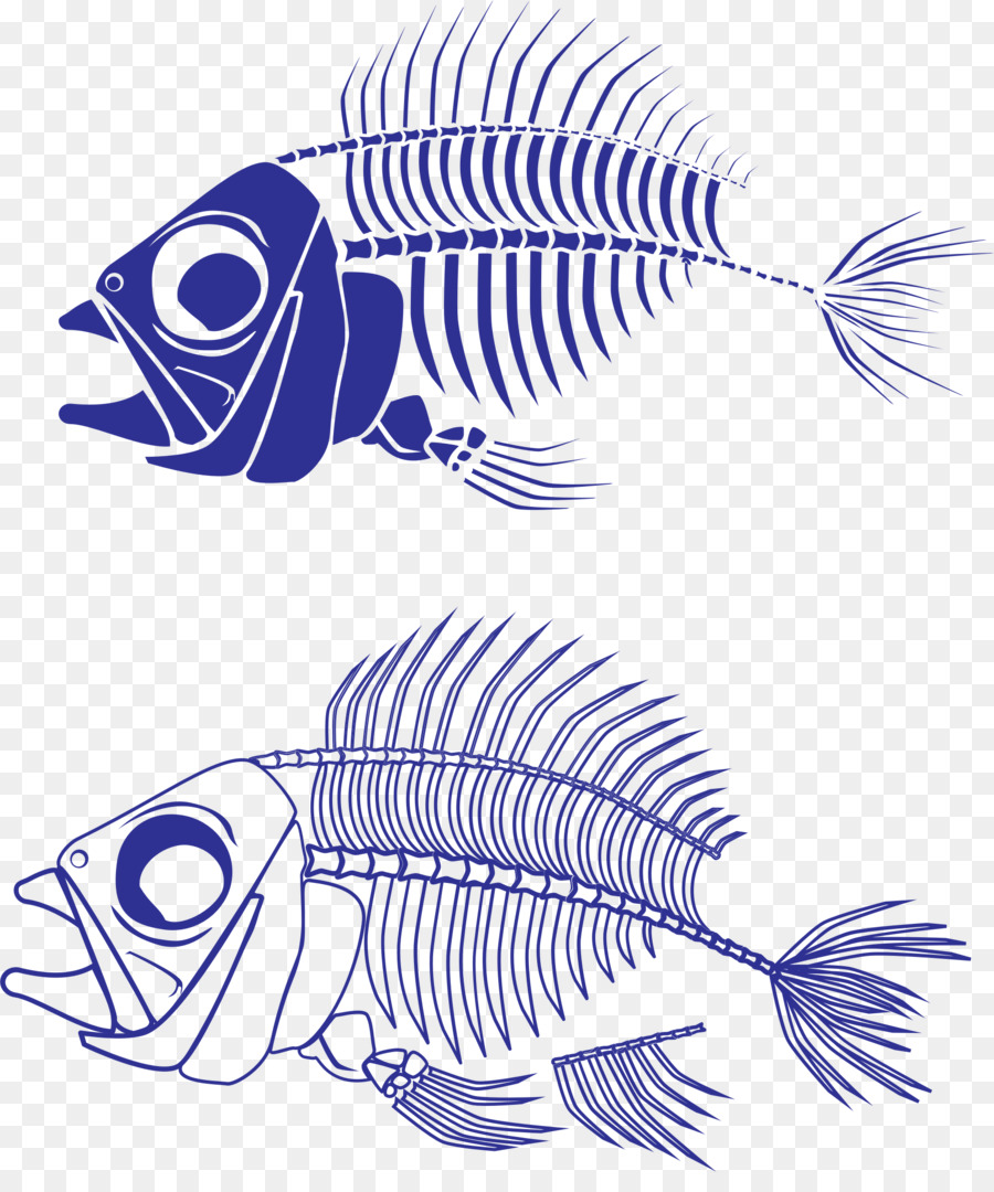 Detail Gambar Rangka Ikan Nomer 12