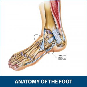 Detail Gambar Rangka Kaki Kanan Dan Kiri Nomer 16