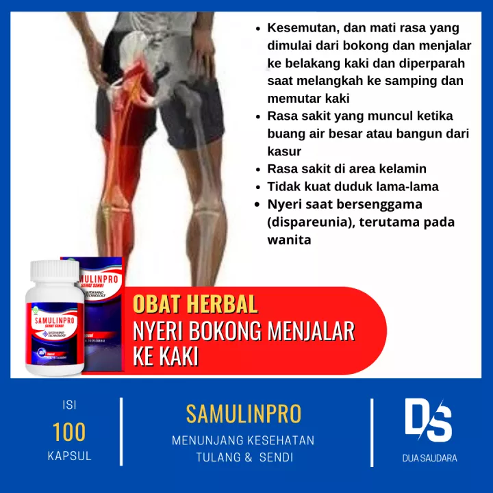 Detail Gambar Rangka Kaki Kanan Dan Kiri Nomer 28