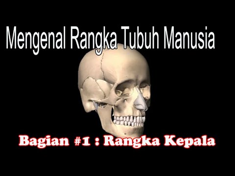 Detail Gambar Rangka Kepala Nomer 40