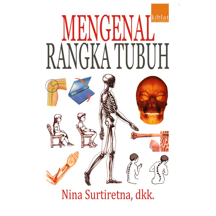 Detail Gambar Rangka Tubuh Nomer 31