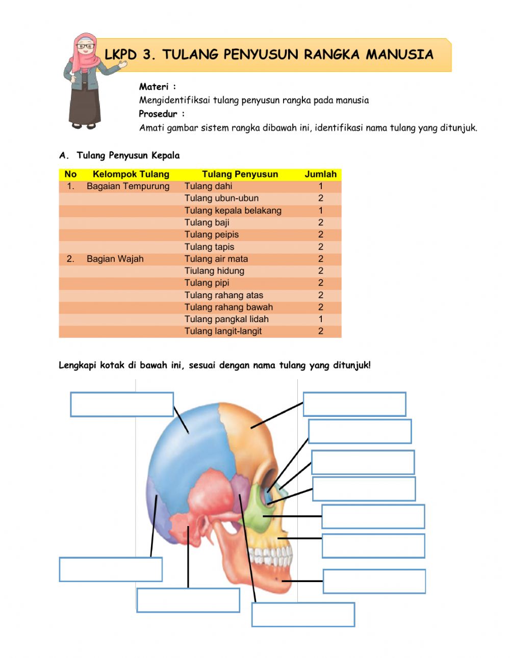 Detail Gambar Rangka Tulang Nomer 45