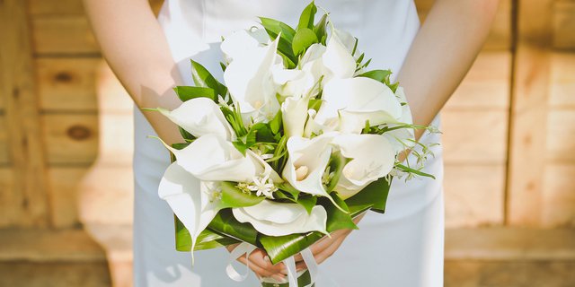 Gambar Rangkaian Bunga Lily Putih - KibrisPDR