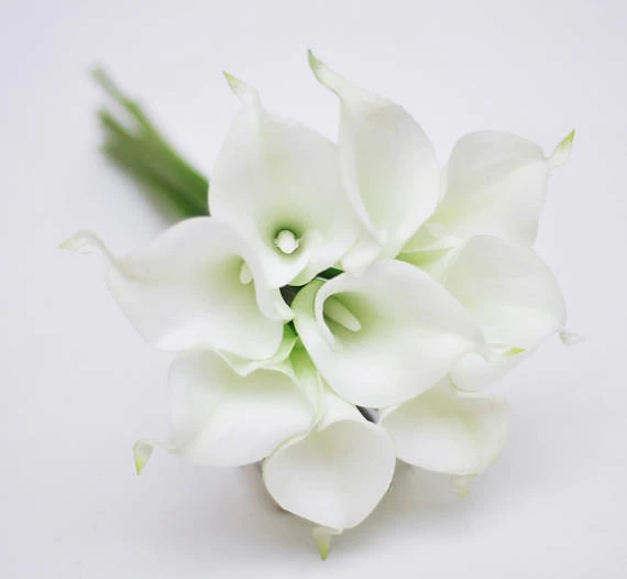 Detail Gambar Rangkaian Bunga Lily Putih Nomer 37