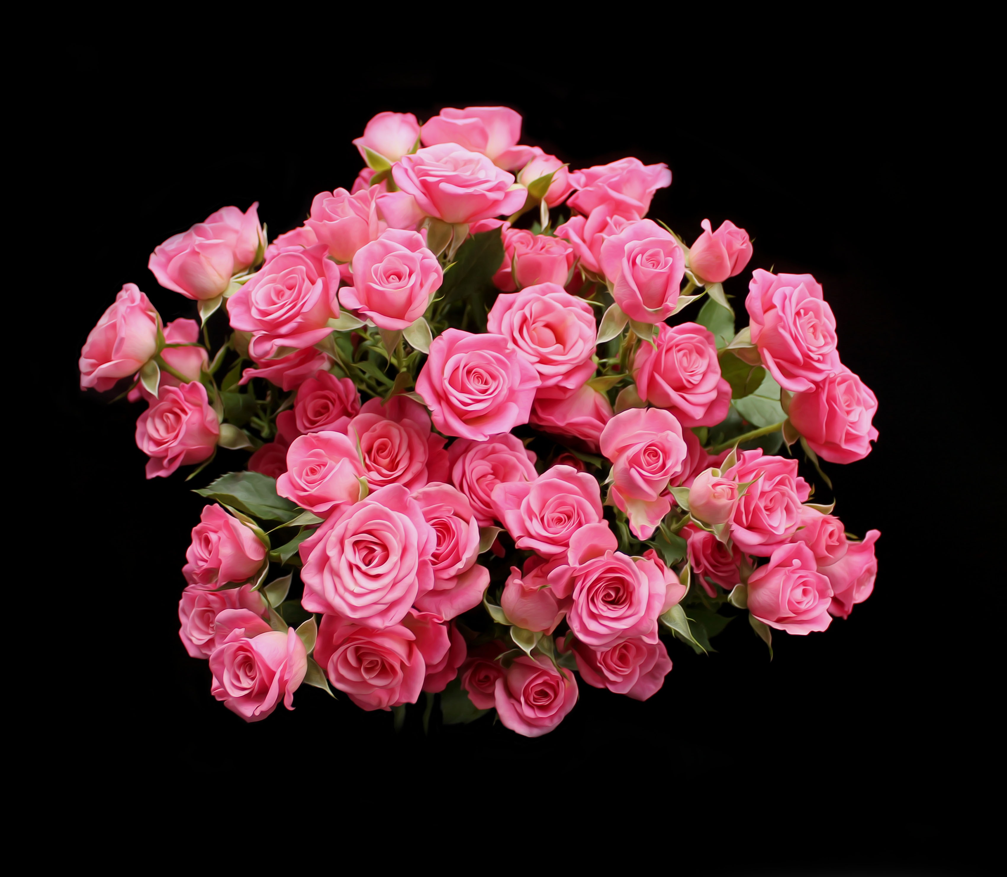 Detail Gambar Rangkaian Bunga Mawar Merah Muda Nomer 22