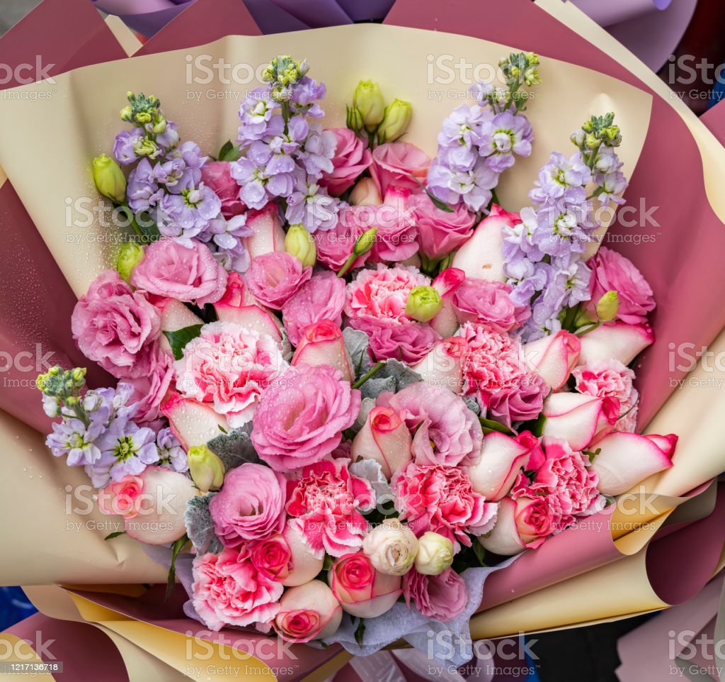 Detail Gambar Rangkaian Bunga Mawar Merah Muda Nomer 56