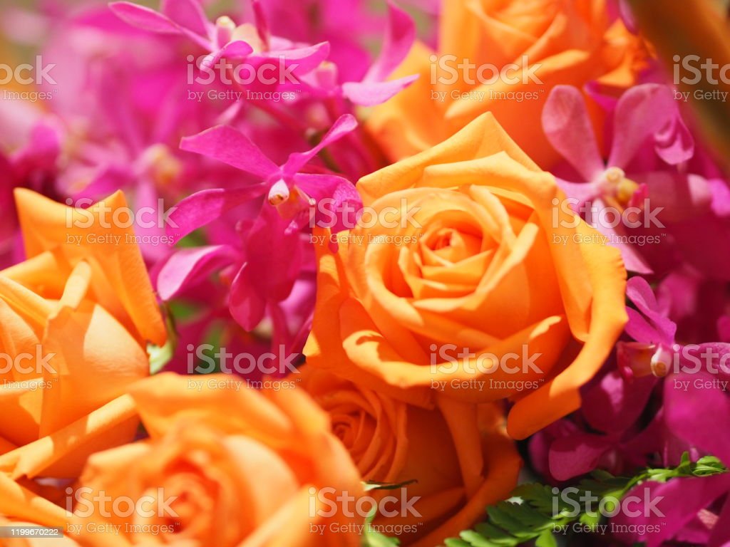 Detail Gambar Rangkaian Bunga Mawar Yang Indah Nomer 29