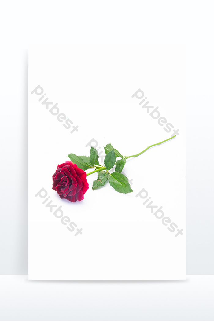 Detail Gambar Rangkaian Bunga Mawar Yang Indah Nomer 51
