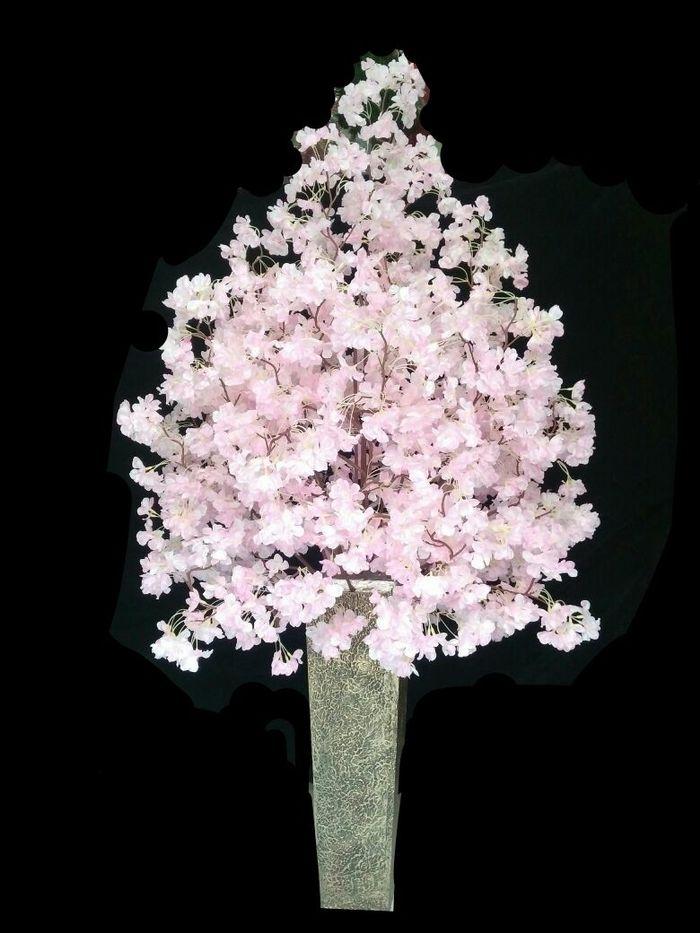 Detail Gambar Rangkaian Bunga Sakura Nomer 42