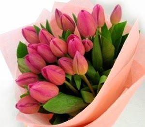 Gambar Rangkaian Bunga Tulip - KibrisPDR