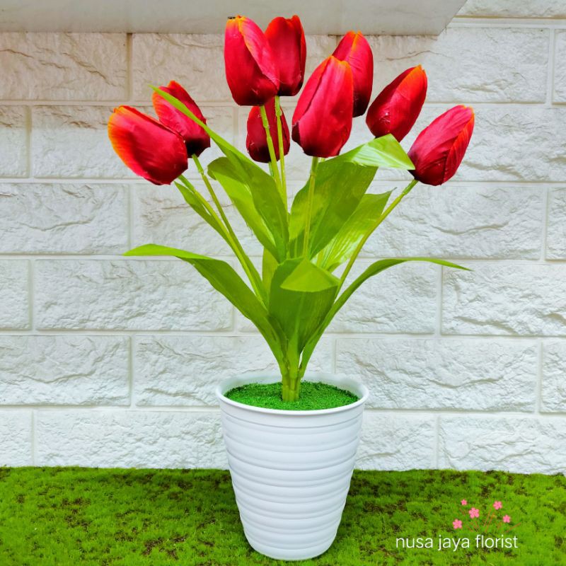 Detail Gambar Rangkaian Bunga Tulip Nomer 36