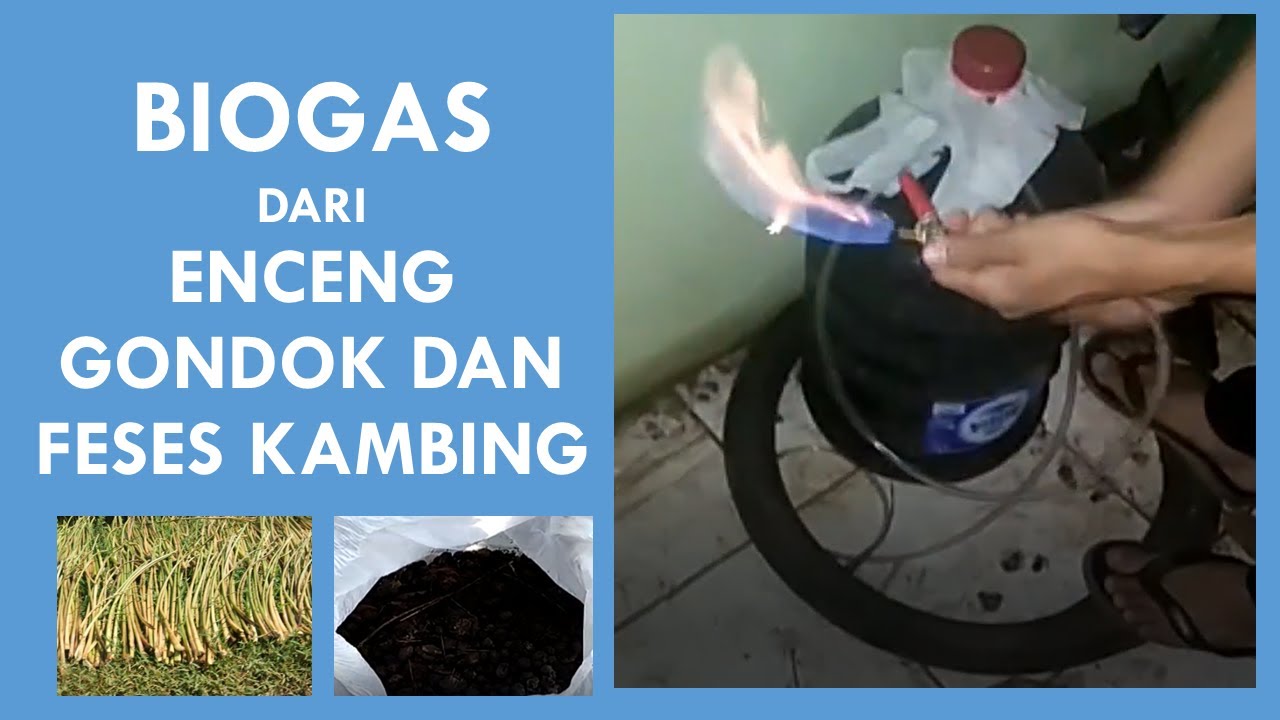 Detail Gambar Rangkaian Gio Gas Nomer 29