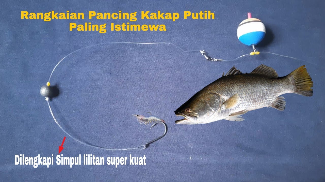 Detail Gambar Rangkaian Pancing Kakap Putih Nomer 12