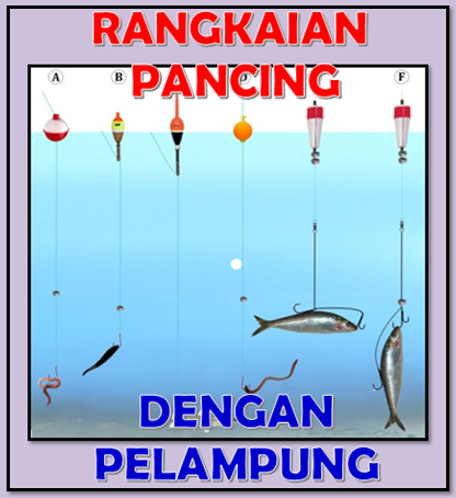 Detail Gambar Rangkaian Pancing Kakap Putih Nomer 13