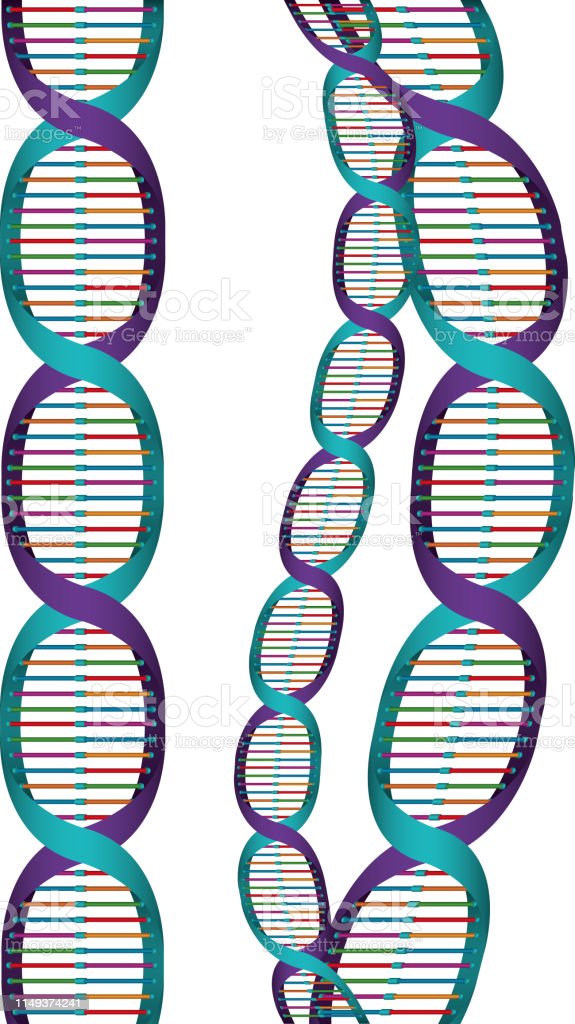 Detail Gambar Rantai Dna Nomer 31