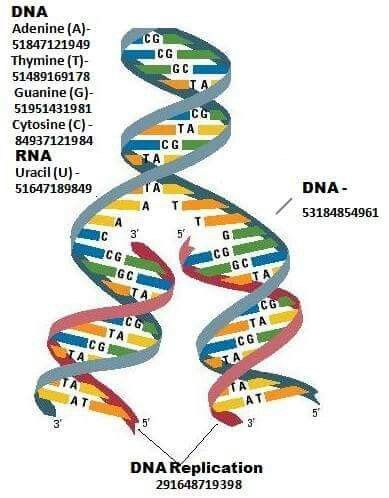 Detail Gambar Rantai Dna Nomer 42