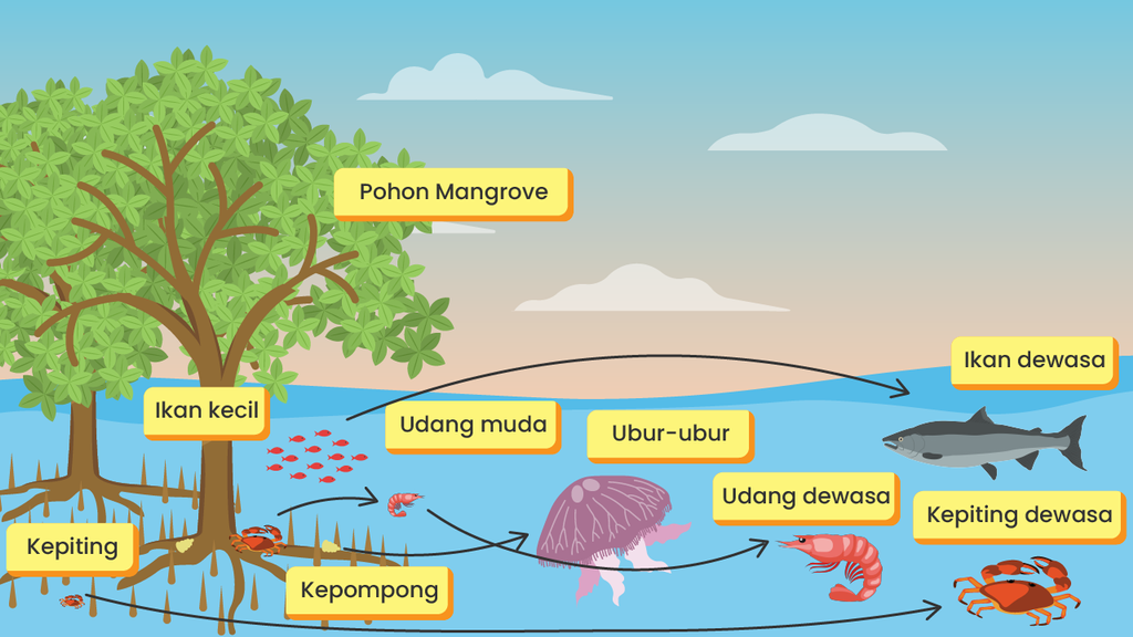 Detail Gambar Rantai Makanan Pada Ekosistem Laut Nomer 31