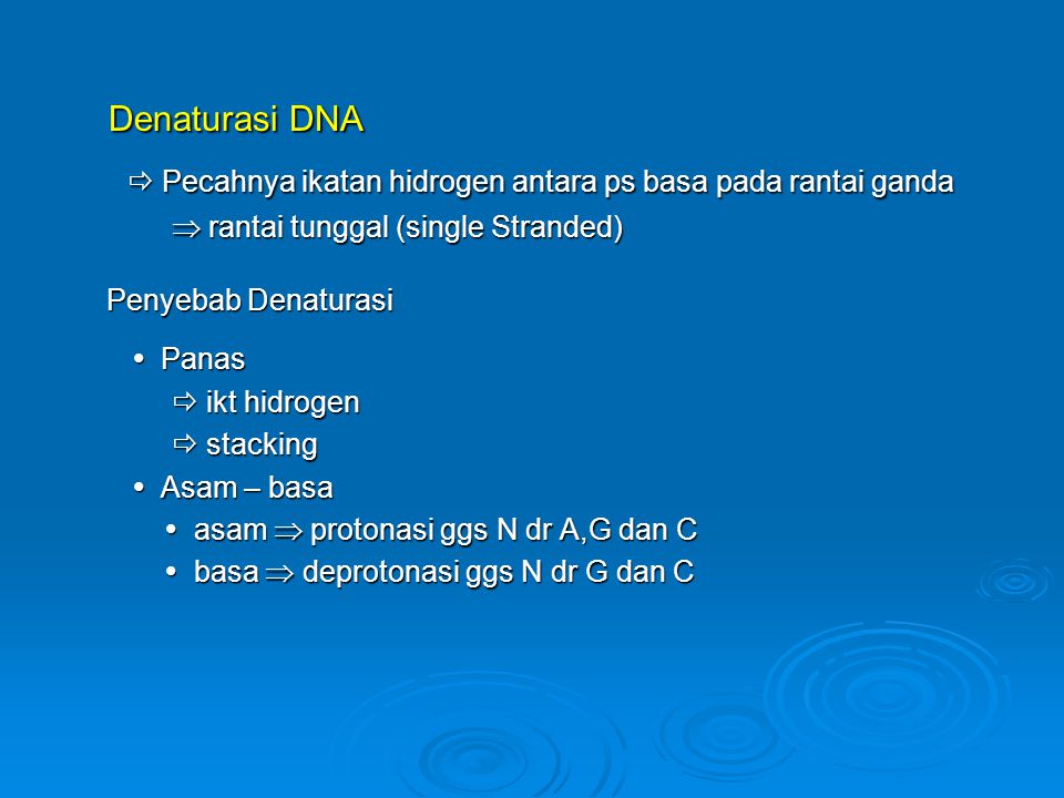 Detail Gambar Rantai Tunggal Pada Rna Nomer 41