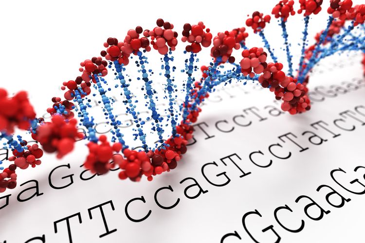 Detail Gambar Rantai Tunggal Pada Rna Nomer 46