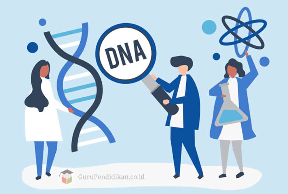 Detail Gambar Rantai Tunggal Pada Rna Nomer 47