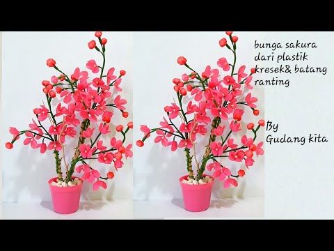 Detail Gambar Ranting Bunga Sakura Nomer 54
