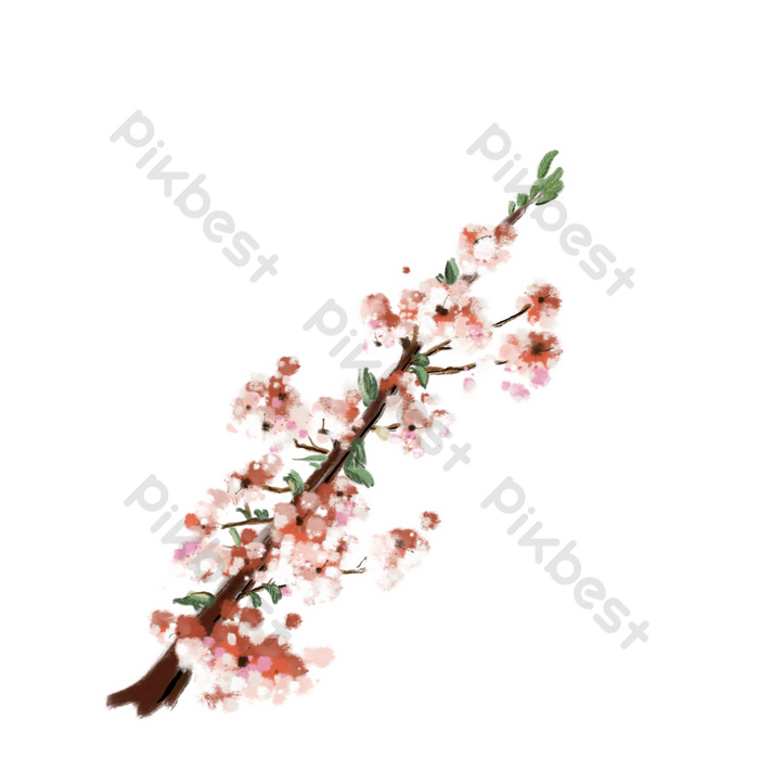 Detail Gambar Ranting Bunga Sakura Nomer 7