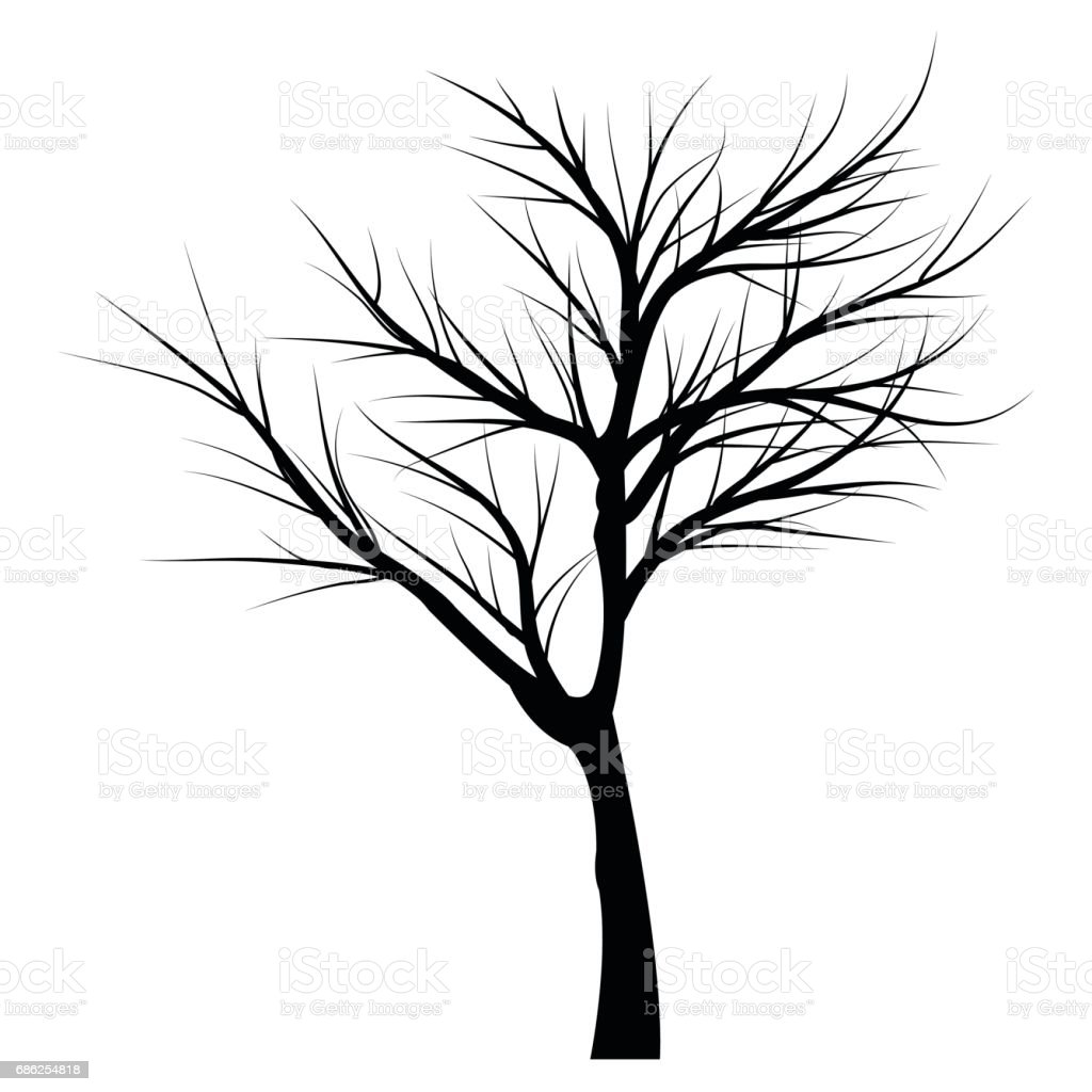 Detail Gambar Ranting Pohon Hitam Putih Nomer 50