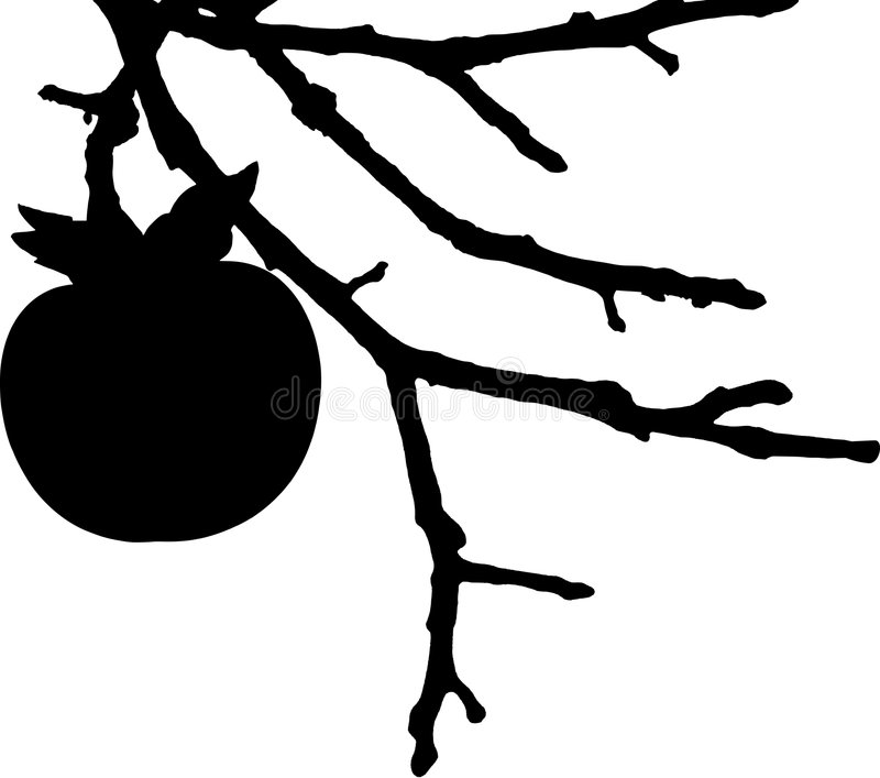 Detail Gambar Ranting Pohon Monokrom Nomer 40