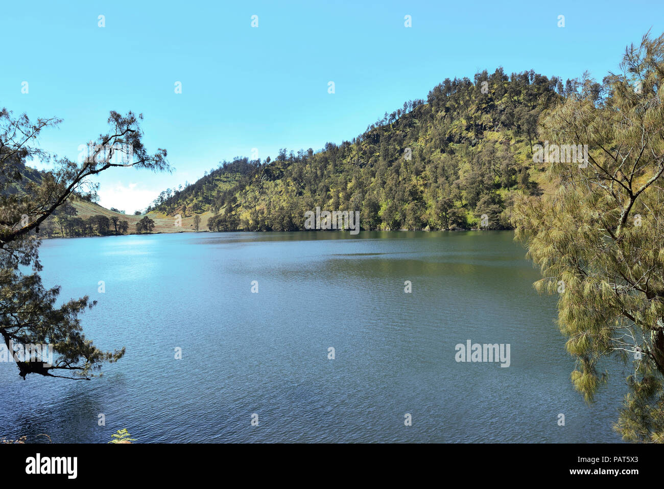 Detail Gambar Ranu Kumbolo Nomer 31