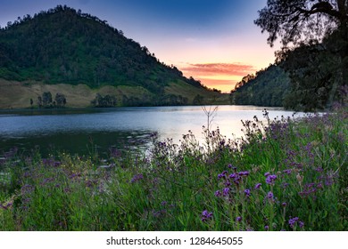 Detail Gambar Ranu Kumbolo Nomer 33