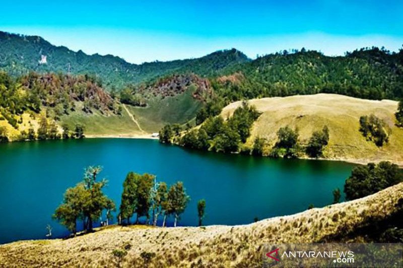 Detail Gambar Ranu Kumbolo Nomer 43