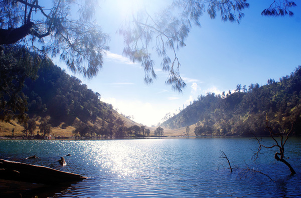 Detail Gambar Ranu Kumbolo Nomer 44