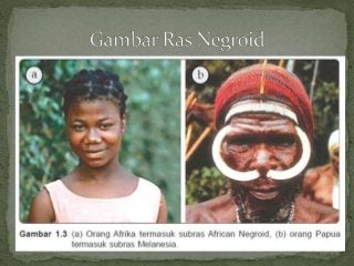 Detail Gambar Ras Negroid Nomer 13