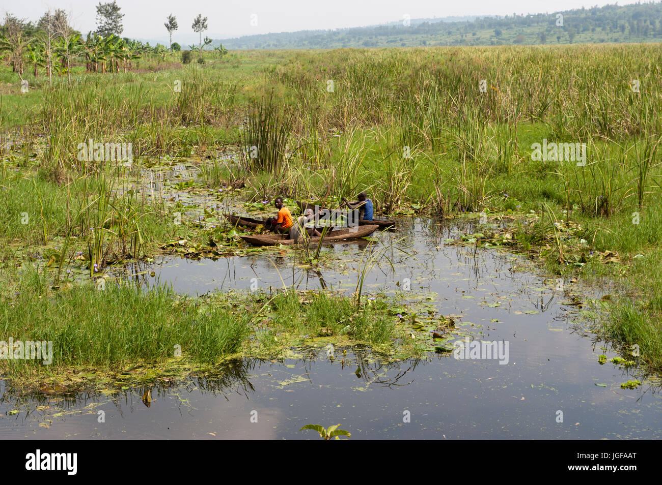 Detail Gambar Rawa Bog Nomer 38