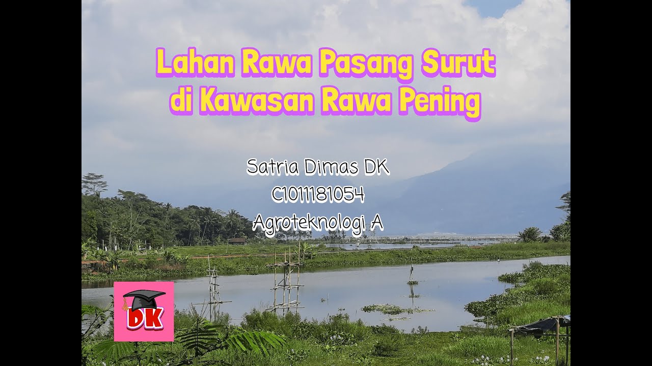 Detail Gambar Rawa Pasang Surut Nomer 28