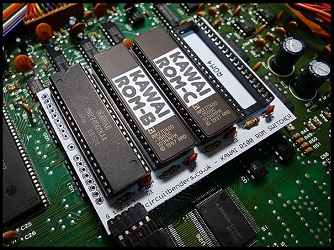 Detail Gambar Read Only Memory Nomer 40