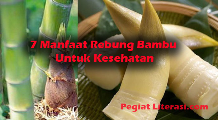 Detail Gambar Rebung Bambu Nomer 32