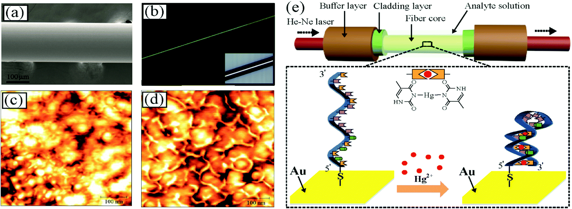 Detail Gambar Refraktometer Abbe Gambar Laser He Ne Nomer 47